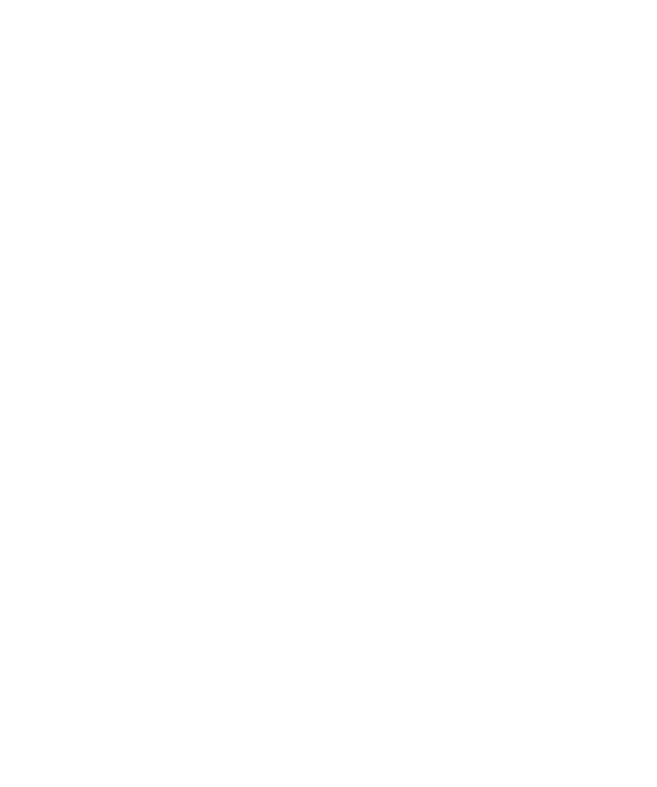 Kundenlogo Wahuboard